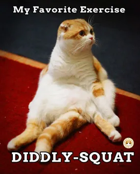 Diddly-Squat
