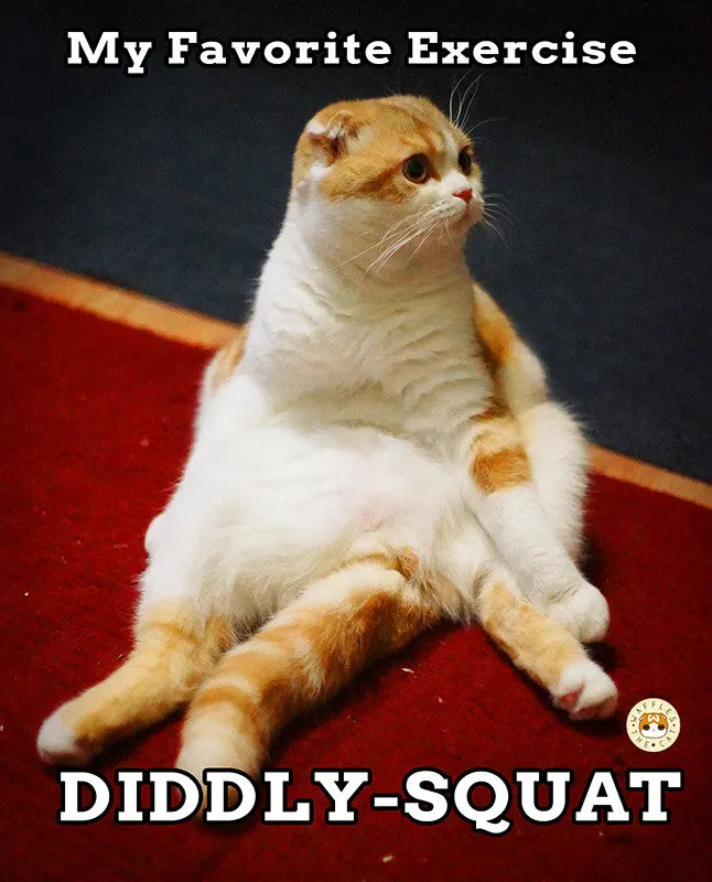 Diddly-Squat