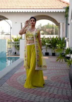 Exquisite Designer Indo Western Set: Embroidery, Mirrors & Stones